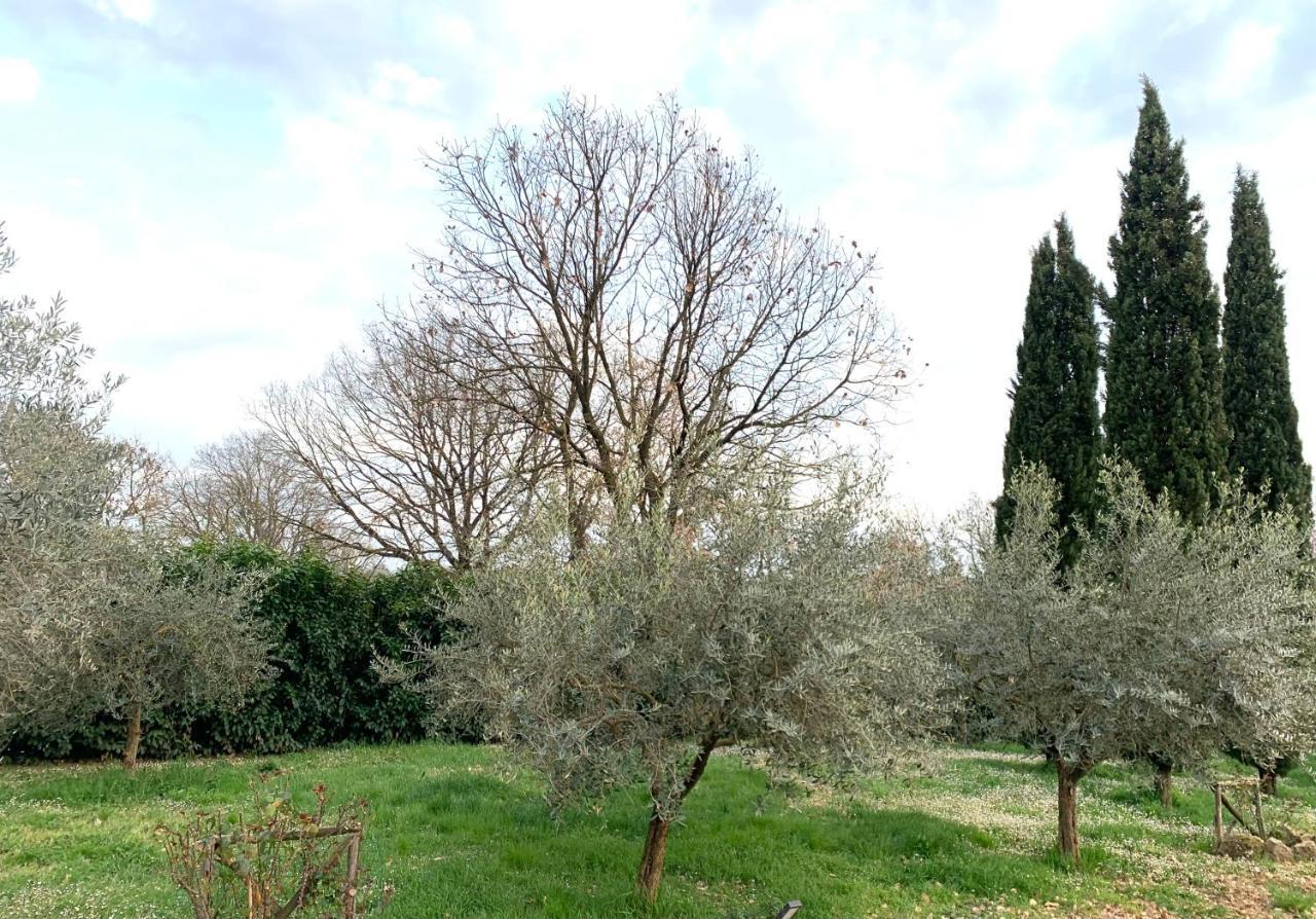 Oltre La Siepe Apartment Nepi Exterior foto